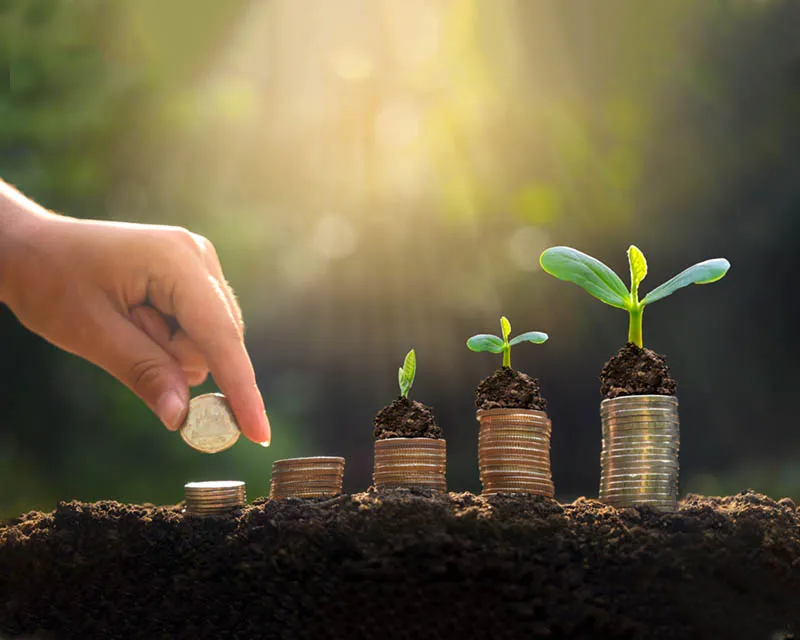 ULUSLARARASI BAŞAK DERNEĞİ